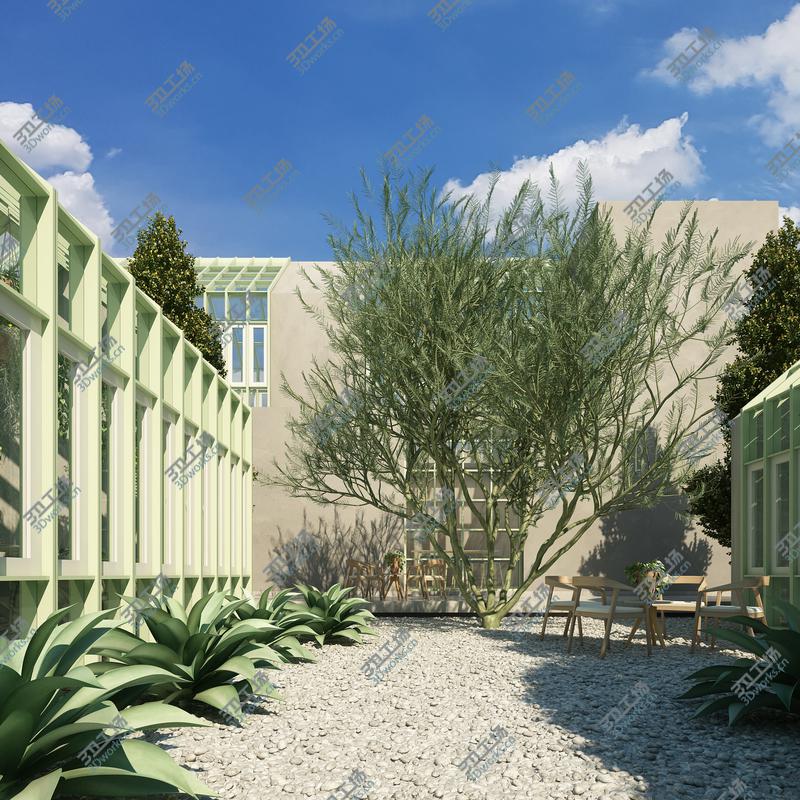 images/goods_img/2021040162/Desert Museum Tree model/4.jpg